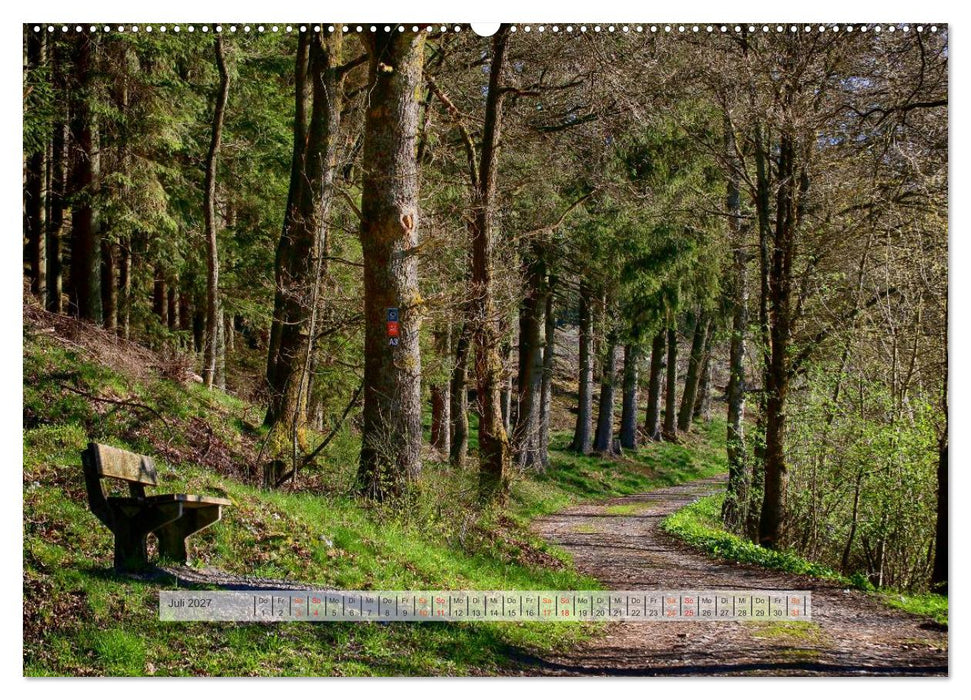 Wald im Bergischen Land 2027 (CALVENDO Premium Wandkalender 2027)