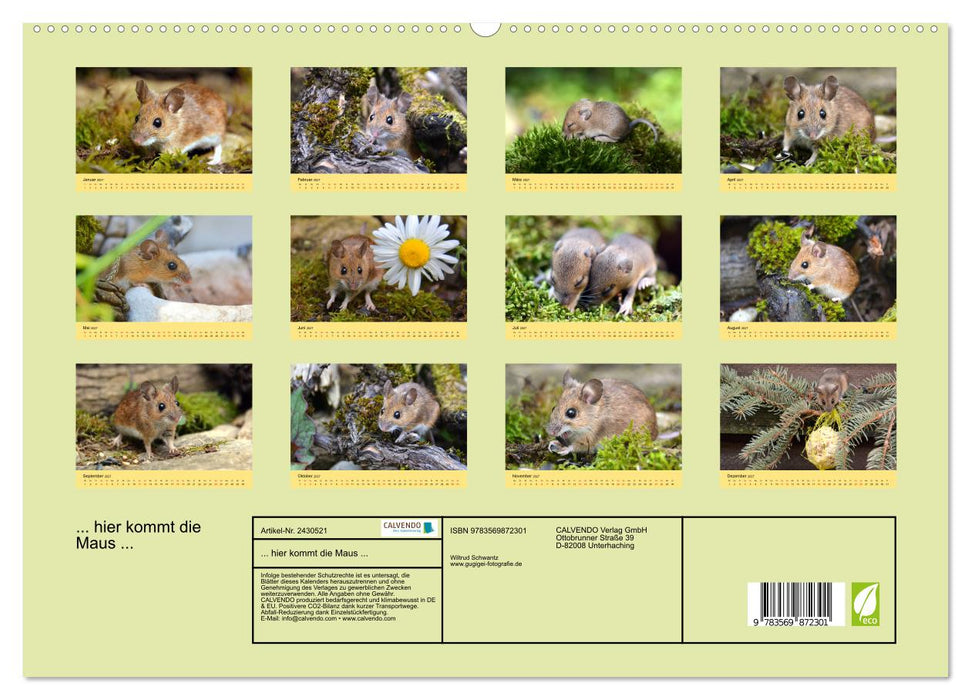 ... hier kommt die Maus... (CALVENDO Premium Wandkalender 2027)