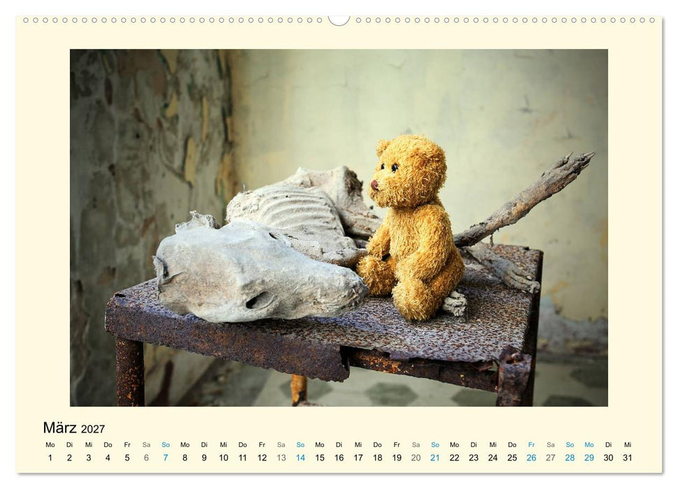 Herr Bär urban explorer (CALVENDO Wandkalender 2027)