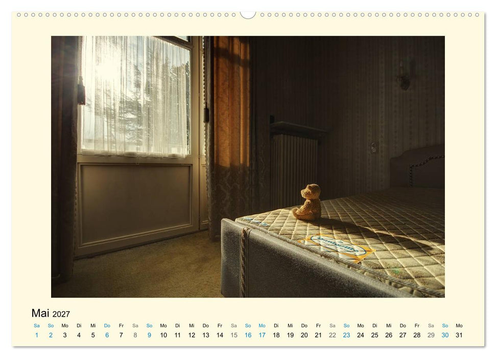 Herr Bär urban explorer (CALVENDO Wandkalender 2027)