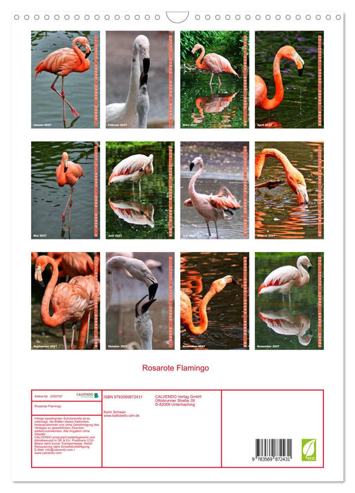 Rosarote Flamingo (CALVENDO Wandkalender 2027)