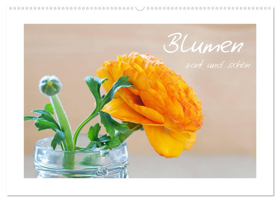 Blumen zart und schön (CALVENDO Wandkalender 2027)