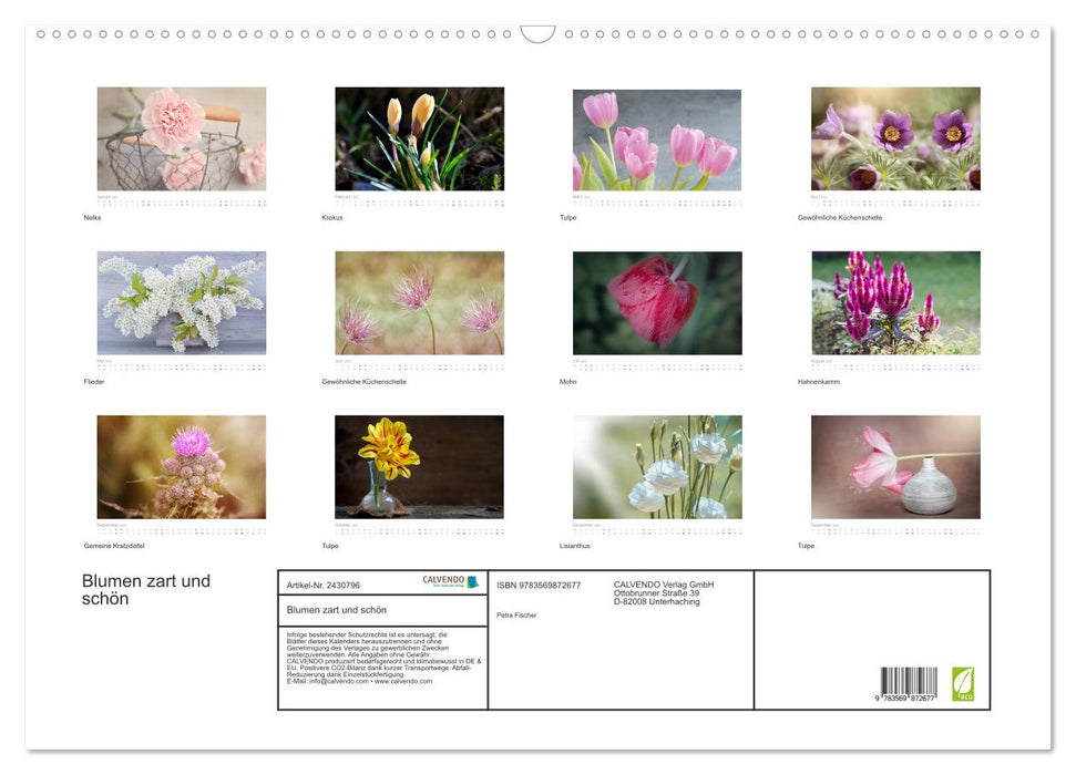 Blumen zart und schön (CALVENDO Wandkalender 2027)