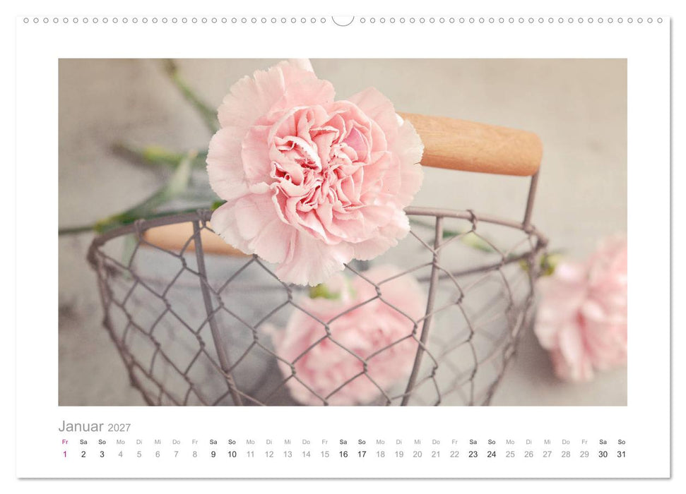 Blumen zart und schön (CALVENDO Wandkalender 2027)