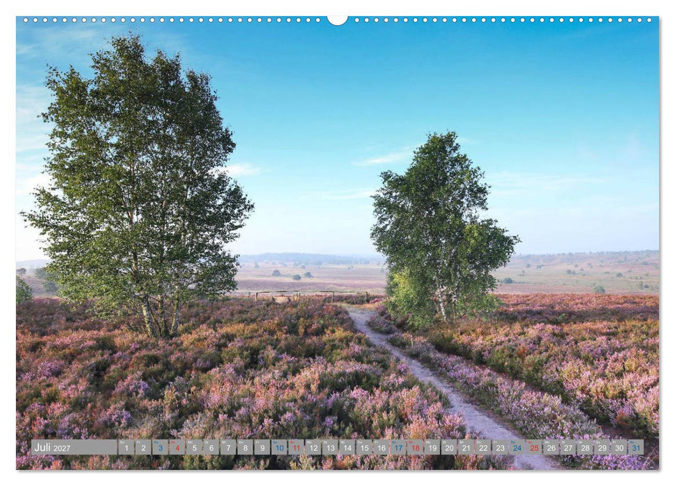 Lüneburger Heide - Faszinierend schön (CALVENDO Premium Wandkalender 2027)
