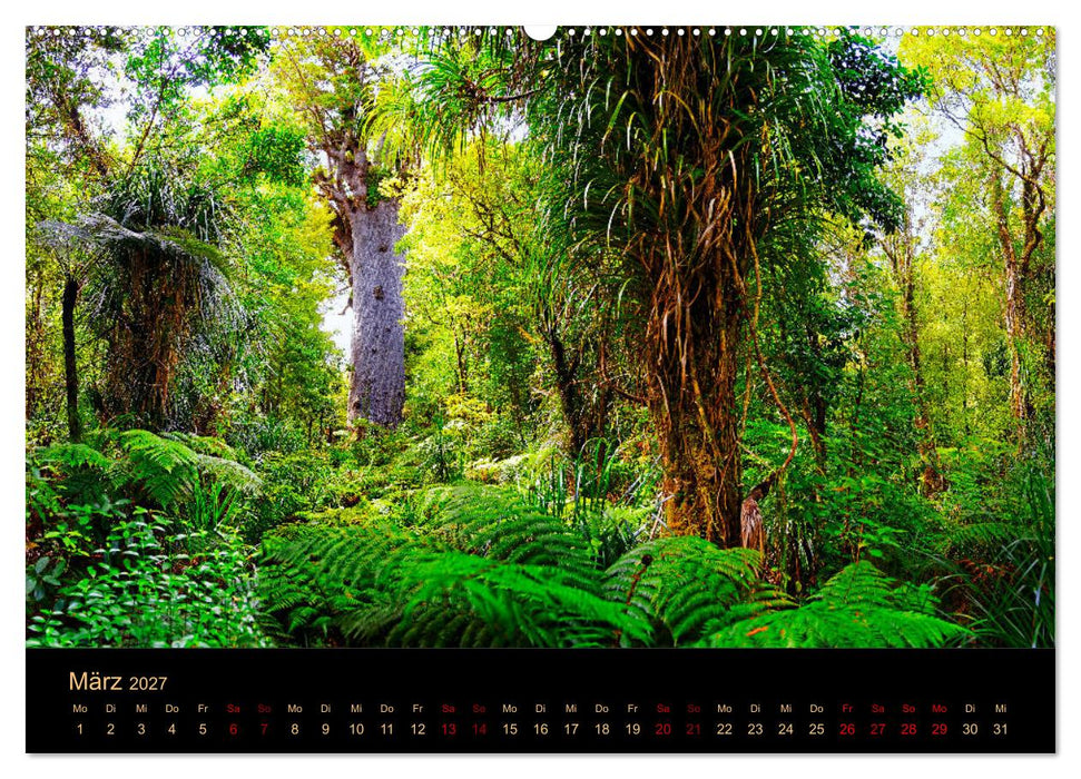 Südseetraum Neuseeland (CALVENDO Premium Wandkalender 2027)