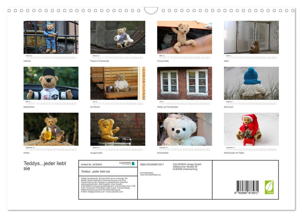 Teddys...jeder liebt sie (CALVENDO Wandkalender 2027)