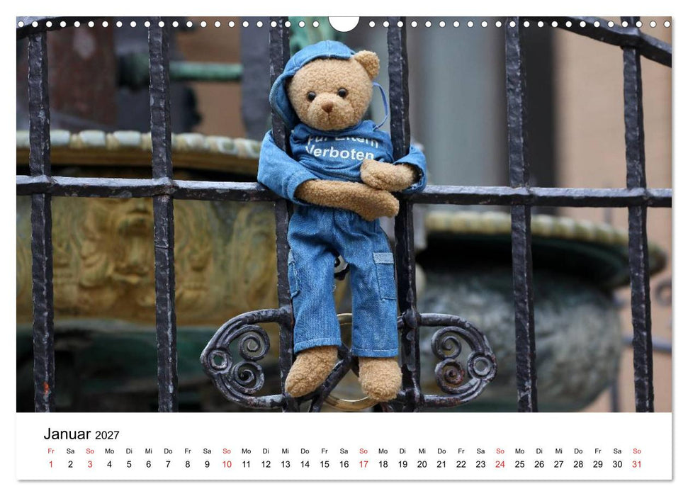Teddys...jeder liebt sie (CALVENDO Wandkalender 2027)