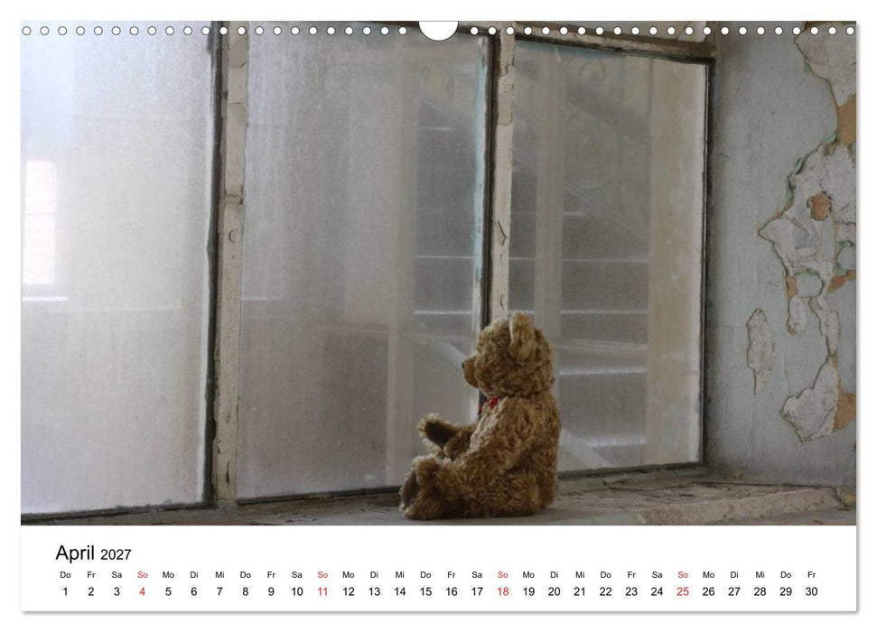 Teddys...jeder liebt sie (CALVENDO Wandkalender 2027)