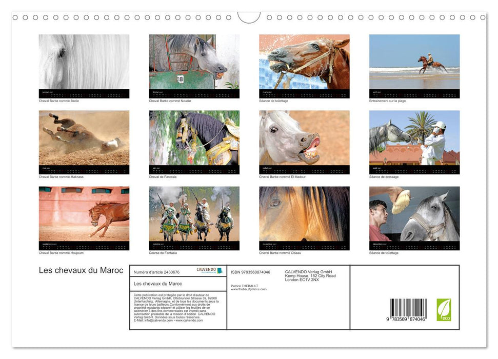 Les chevaux du Maroc (CALVENDO Calendrier mensuel 2027)
