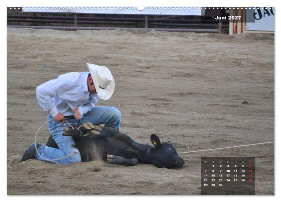 Faszination Rodeo (CALVENDO Wandkalender 2027)