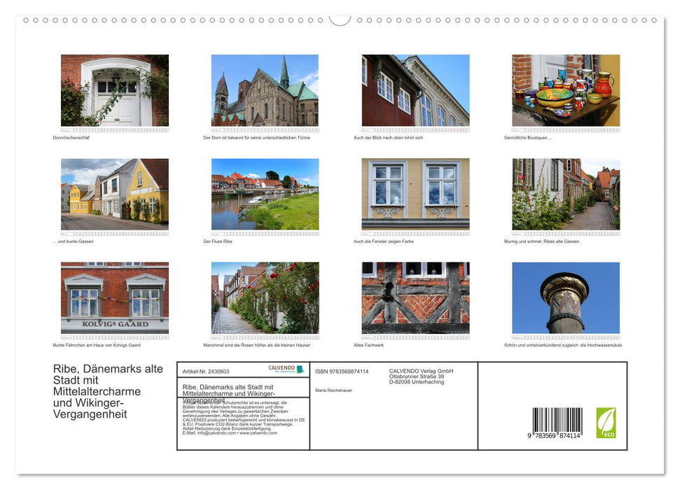 Ribe, Dänemarks alte Stadt mit Mittelaltercharme und Wikinger-Vergangenheit (CALVENDO Premium Wandkalender 2027)