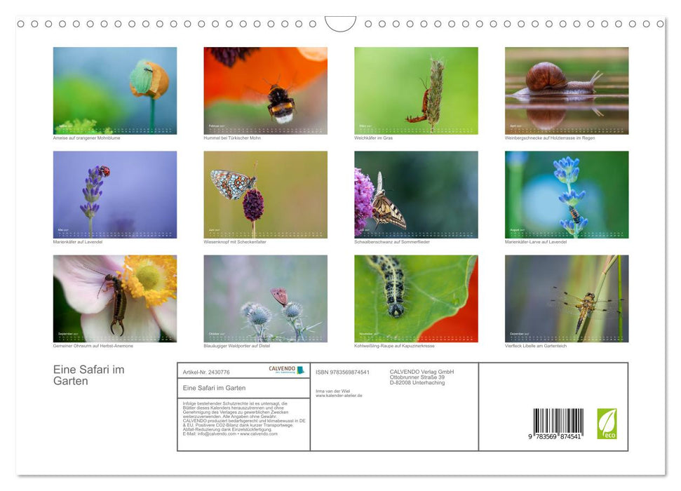 Eine Safari im Garten (CALVENDO Wandkalender 2027)