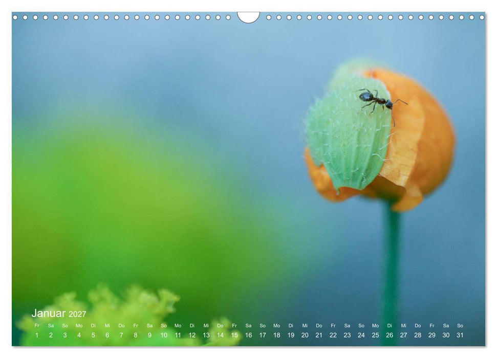 Eine Safari im Garten (CALVENDO Wandkalender 2027)
