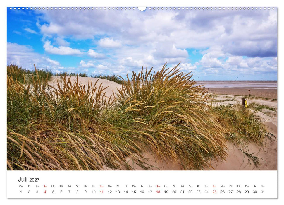 Eiderstedt Impressionen (CALVENDO Premium Wandkalender 2027)