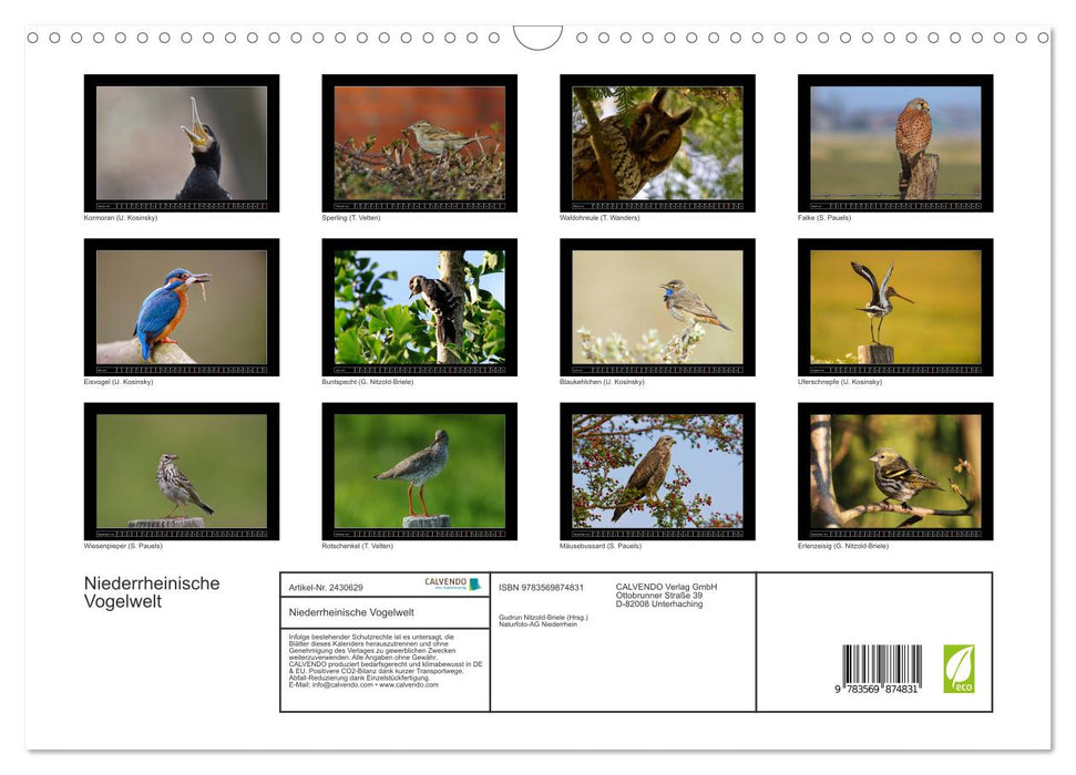 Niederrheinische Vogelwelt (CALVENDO Wandkalender 2027)
