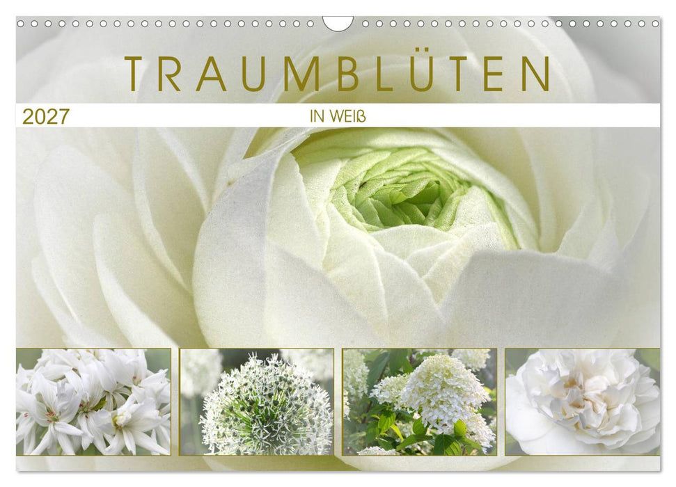 Traumblüten in Weiß (CALVENDO Wandkalender 2027)