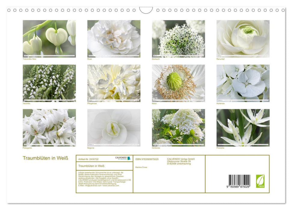 Traumblüten in Weiß (CALVENDO Wandkalender 2027)