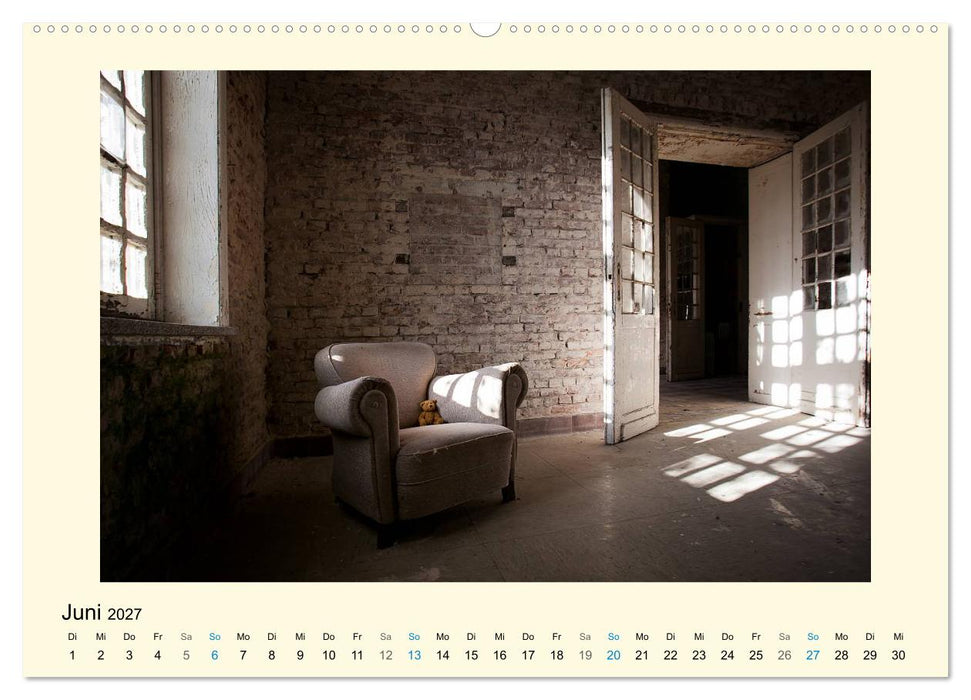 Herr Bär urban explorer (CALVENDO Premium Wandkalender 2027)
