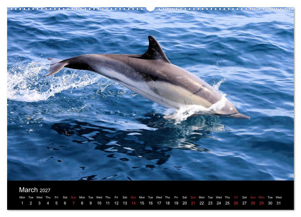 Estepona Costa Del Sol (CALVENDO Premium-Calendar 2027)