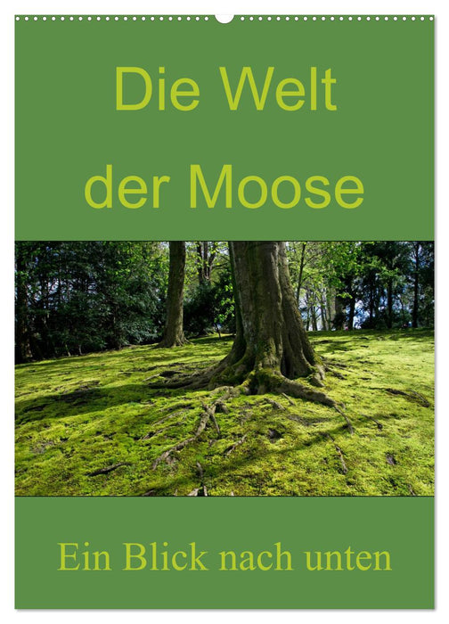 Die Welt der Moose. Ein Blick nach unten (CALVENDO Wandkalender 2027)