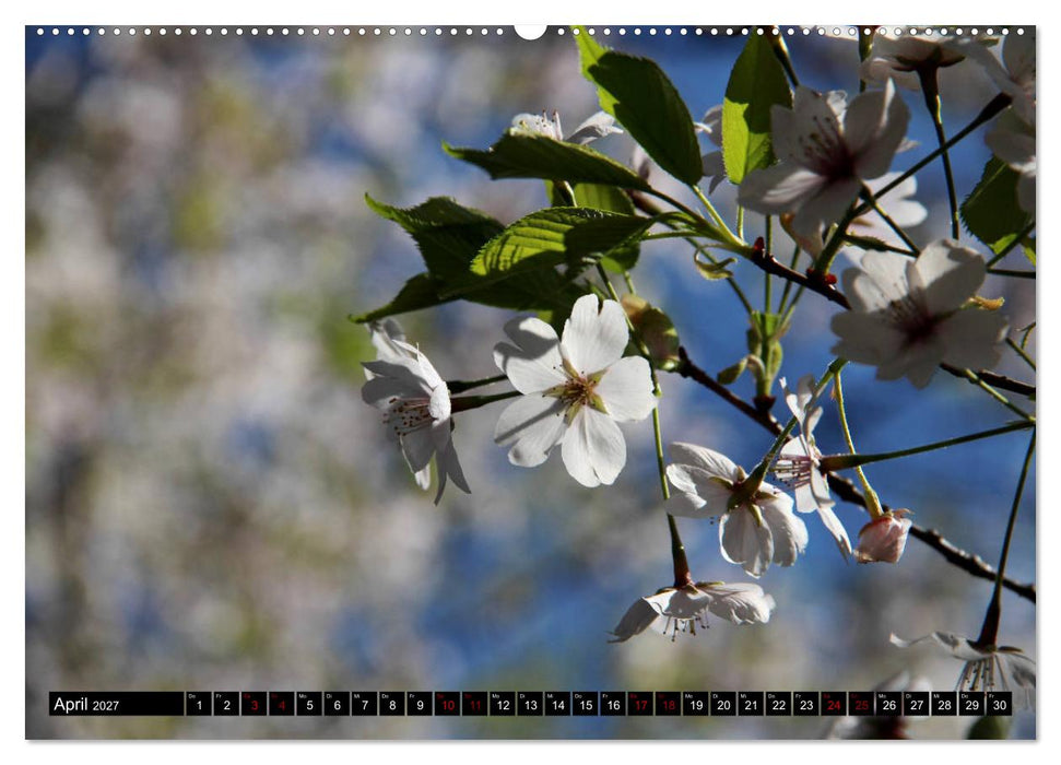 Japan - Details (CALVENDO Wandkalender 2027)