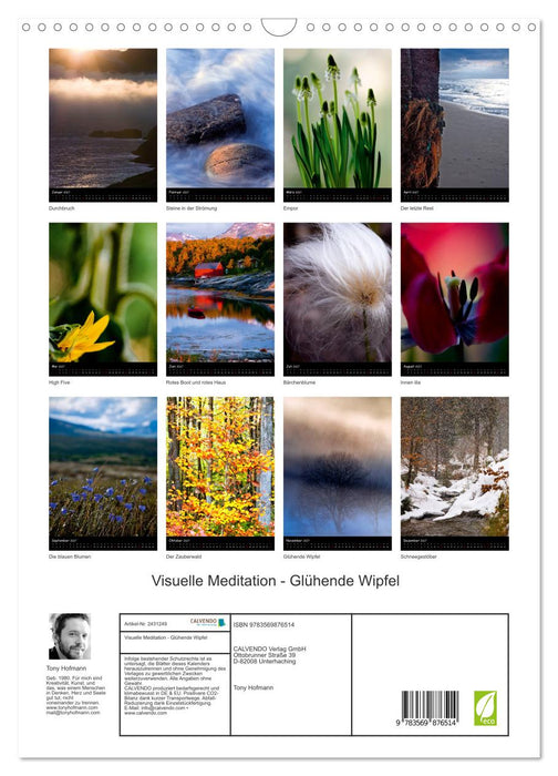 Visuelle Meditation - Glühende Wipfel (CALVENDO Wandkalender 2027)