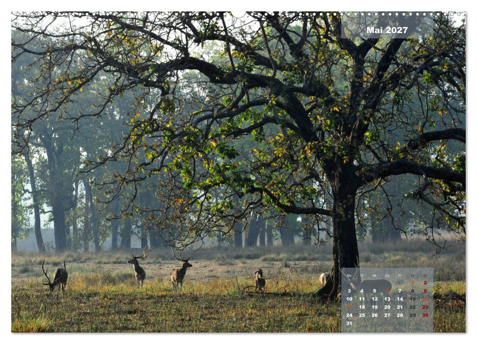 Wilde Tiere Indiens (CALVENDO Premium Wandkalender 2027)