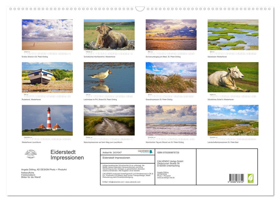 Eiderstedt Impressionen (CALVENDO Wandkalender 2027)
