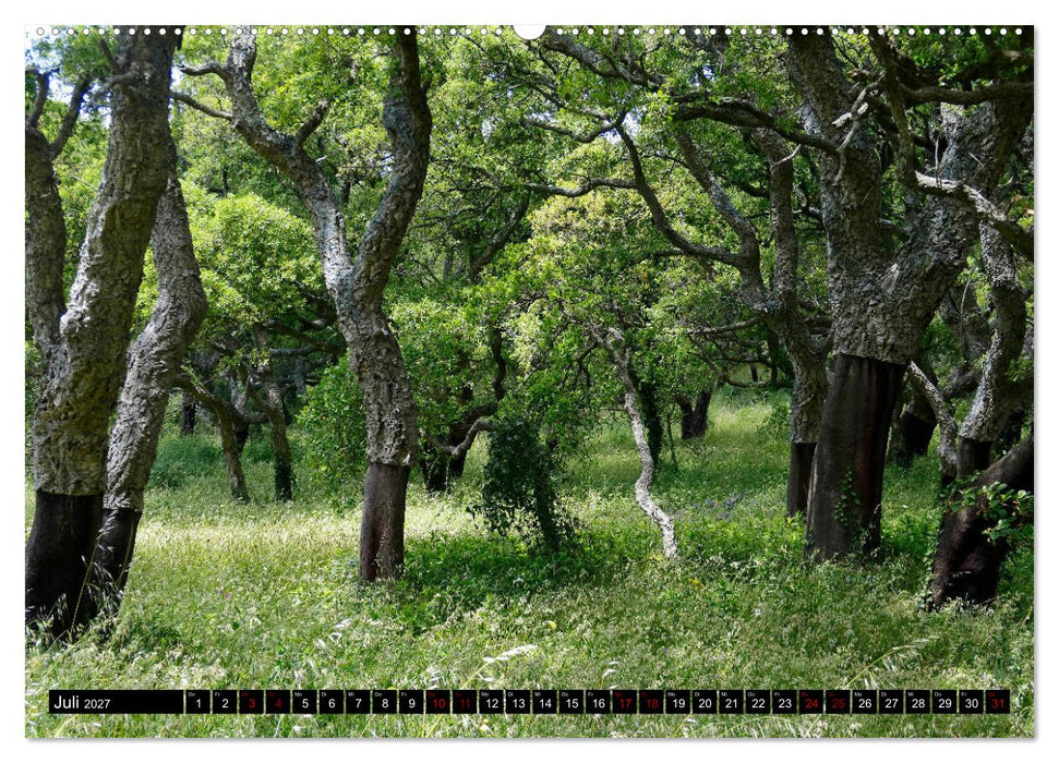 Sardinien - Der Norden (CALVENDO Premium Wandkalender 2027)