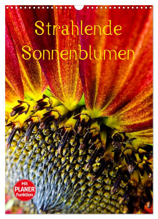 Strahlende Sonnenblumen (CALVENDO Wandkalender 2027)