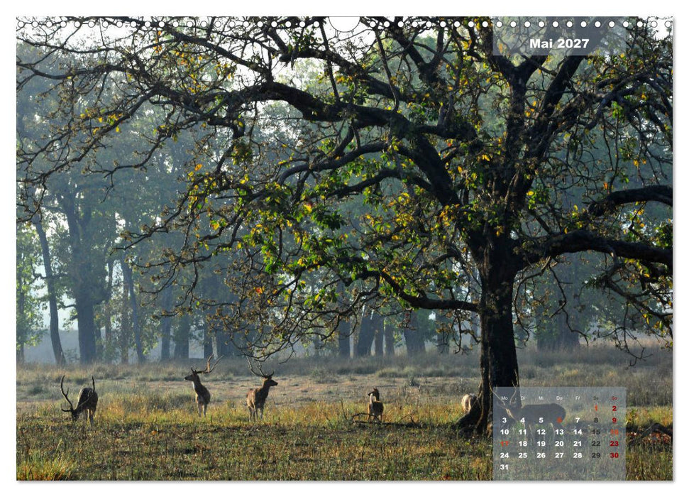 Wilde Tiere Indiens (CALVENDO Wandkalender 2027)