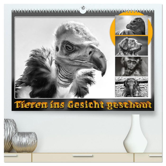 Tieren ins Gesicht geschaut (CALVENDO Premium Wandkalender 2027)