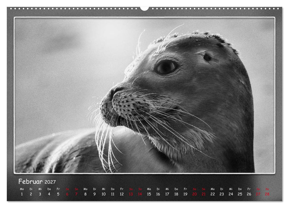 Tieren ins Gesicht geschaut (CALVENDO Wandkalender 2027)