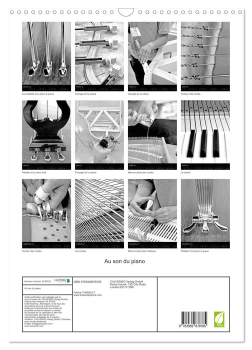 Au son du piano (CALVENDO Calendrier mensuel 2027)