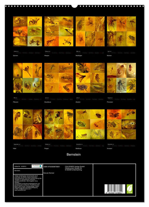 Bernstein (CALVENDO Premium Wandkalender 2027)