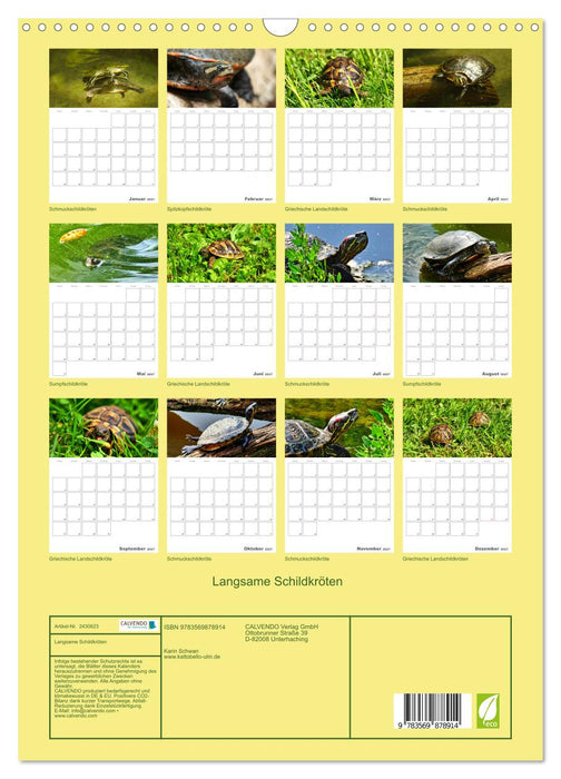 Langsame Schildkröten (CALVENDO Wandkalender 2027)