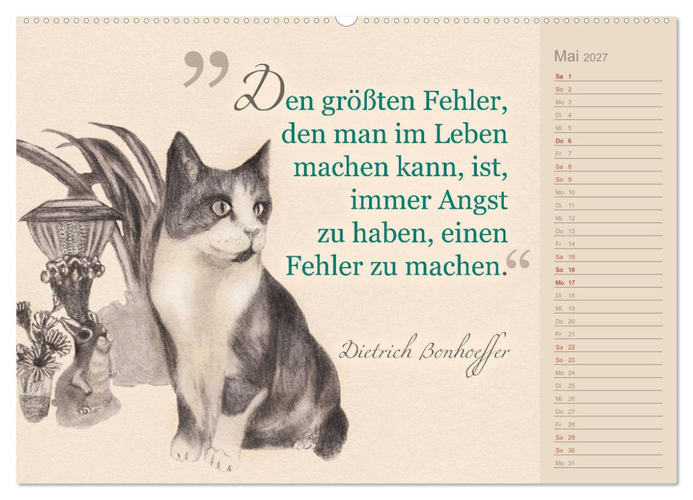 Von Katzen lernen (CALVENDO Premium Wandkalender 2027)