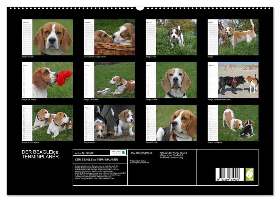 DER BEAGLEige TERMINPLANER (CALVENDO Premium Wandkalender 2027)