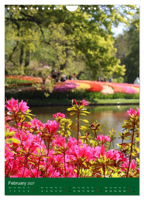 Dutch Tulips (CALVENDO Monthly Calendar 2027)