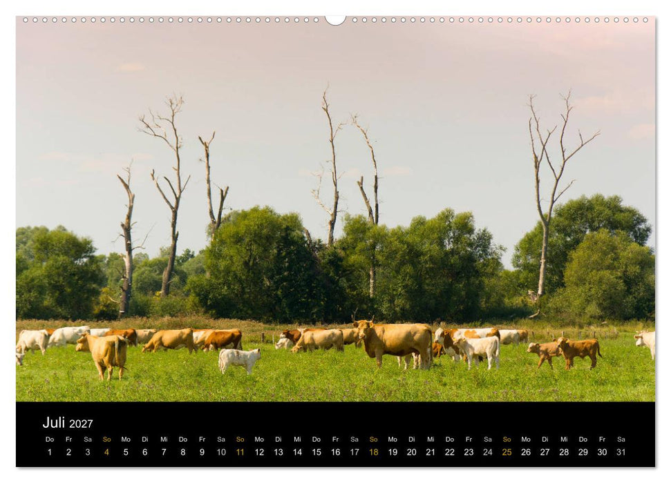 Brandenburg - Landschaften zwischen Elbe und Oder (CALVENDO Premium Wandkalender 2027)