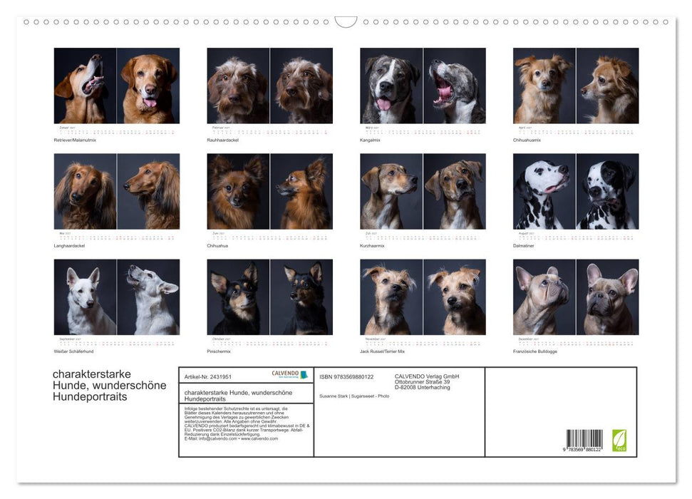 charakterstarke Hunde, wunderschöne Hundeportraits (CALVENDO Wandkalender 2027)