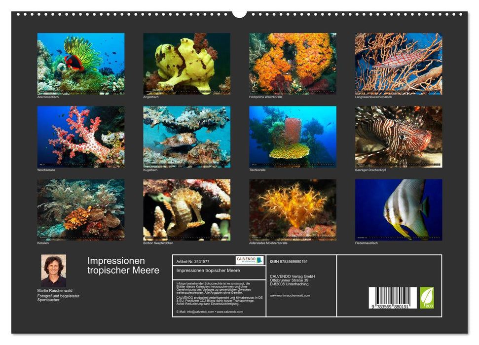 Impressionen tropischer Meere (CALVENDO Premium Wandkalender 2027)