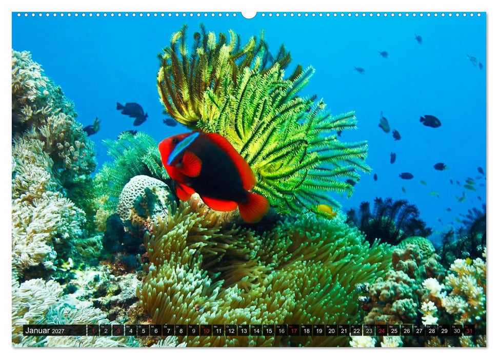 Impressionen tropischer Meere (CALVENDO Premium Wandkalender 2027)