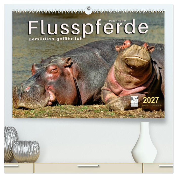 Flusspferde - gemütlich gefährlich (CALVENDO Premium Wandkalender 2027)
