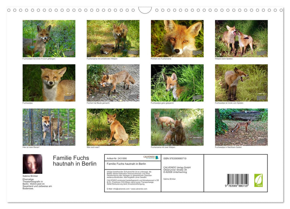 Familie Fuchs hautnah in Berlin (CALVENDO Wandkalender 2027)