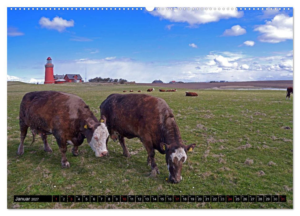 Jütlands Küste 2027 (CALVENDO Premium Wandkalender 2027)