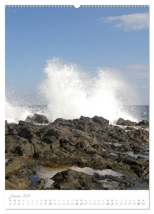 Fuerteventura, wilde Schönheit im Atlantik (CALVENDO Wandkalender 2027)
