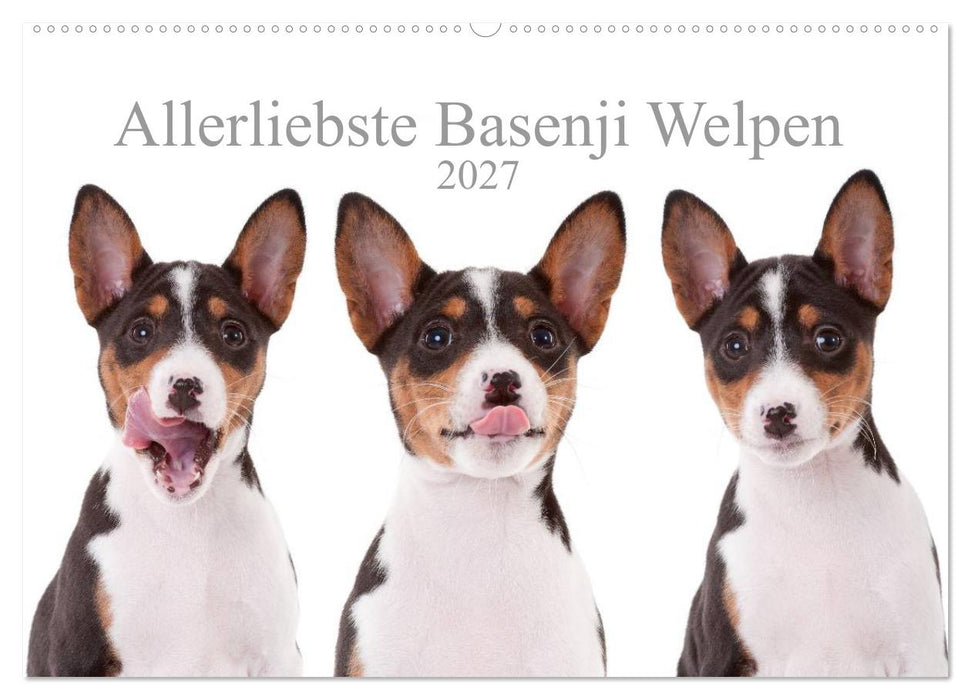 Allerliebste Basenji Welpen 2027 (CALVENDO Wandkalender 2027)