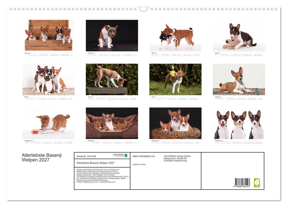 Allerliebste Basenji Welpen 2027 (CALVENDO Wandkalender 2027)
